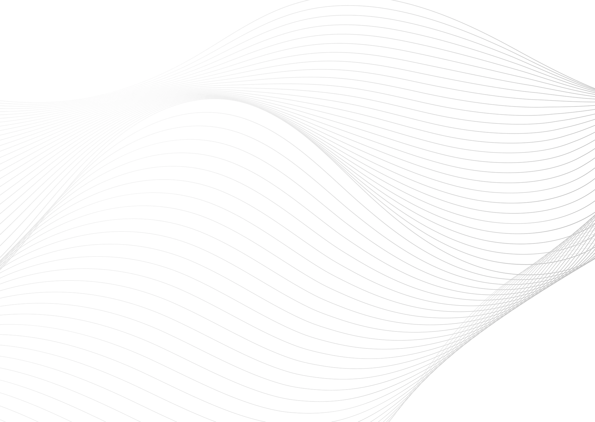 Web Site Tasarımcısı, Silvan